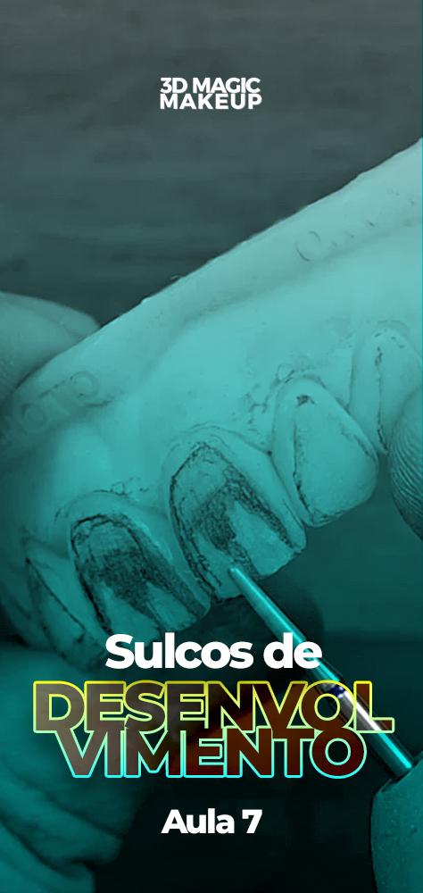 Capas Aulas - Sulcos de Desenvolvimento copiar